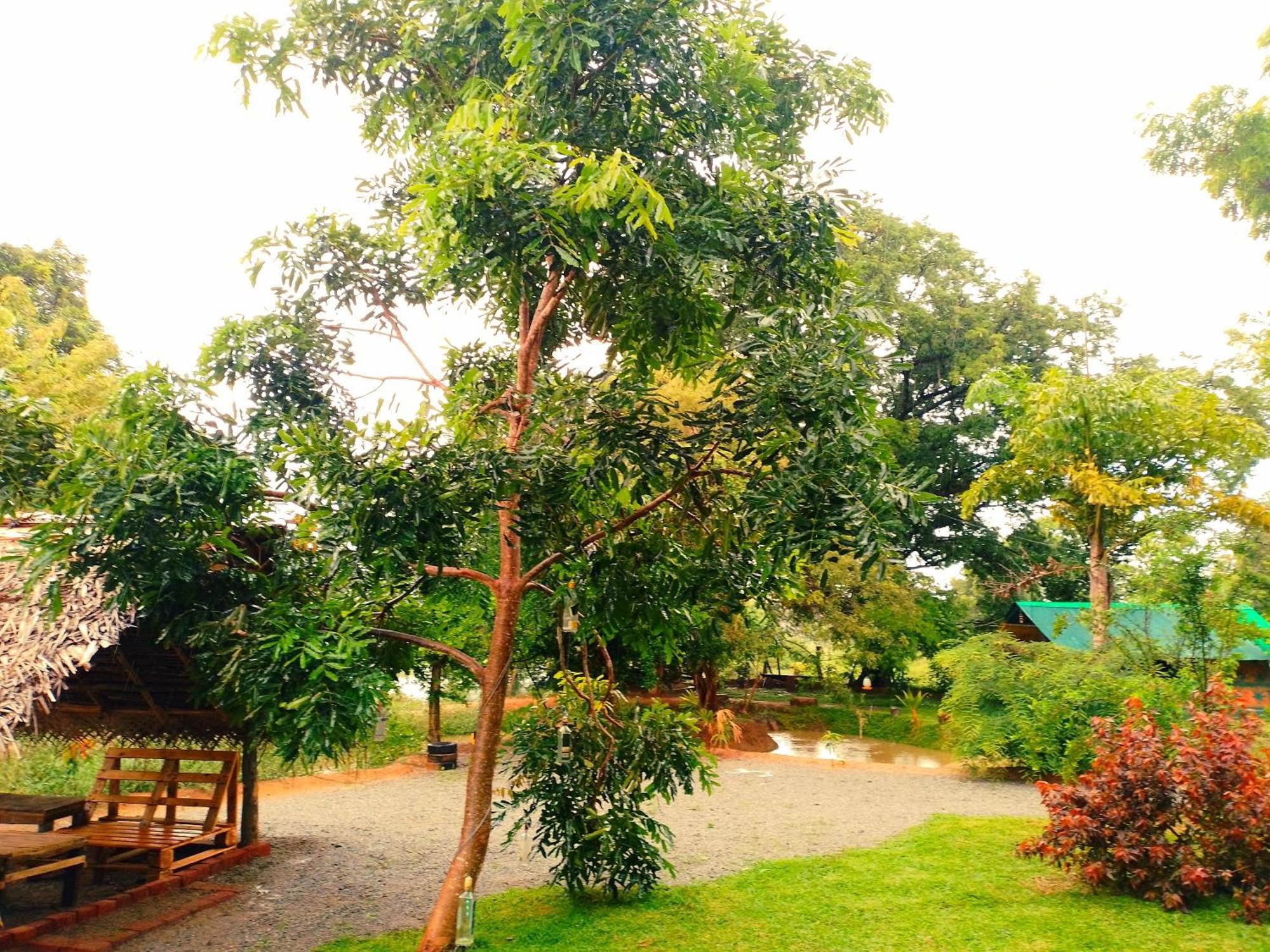 Elephant Villa, Yoga & Meditation Sanctuary *