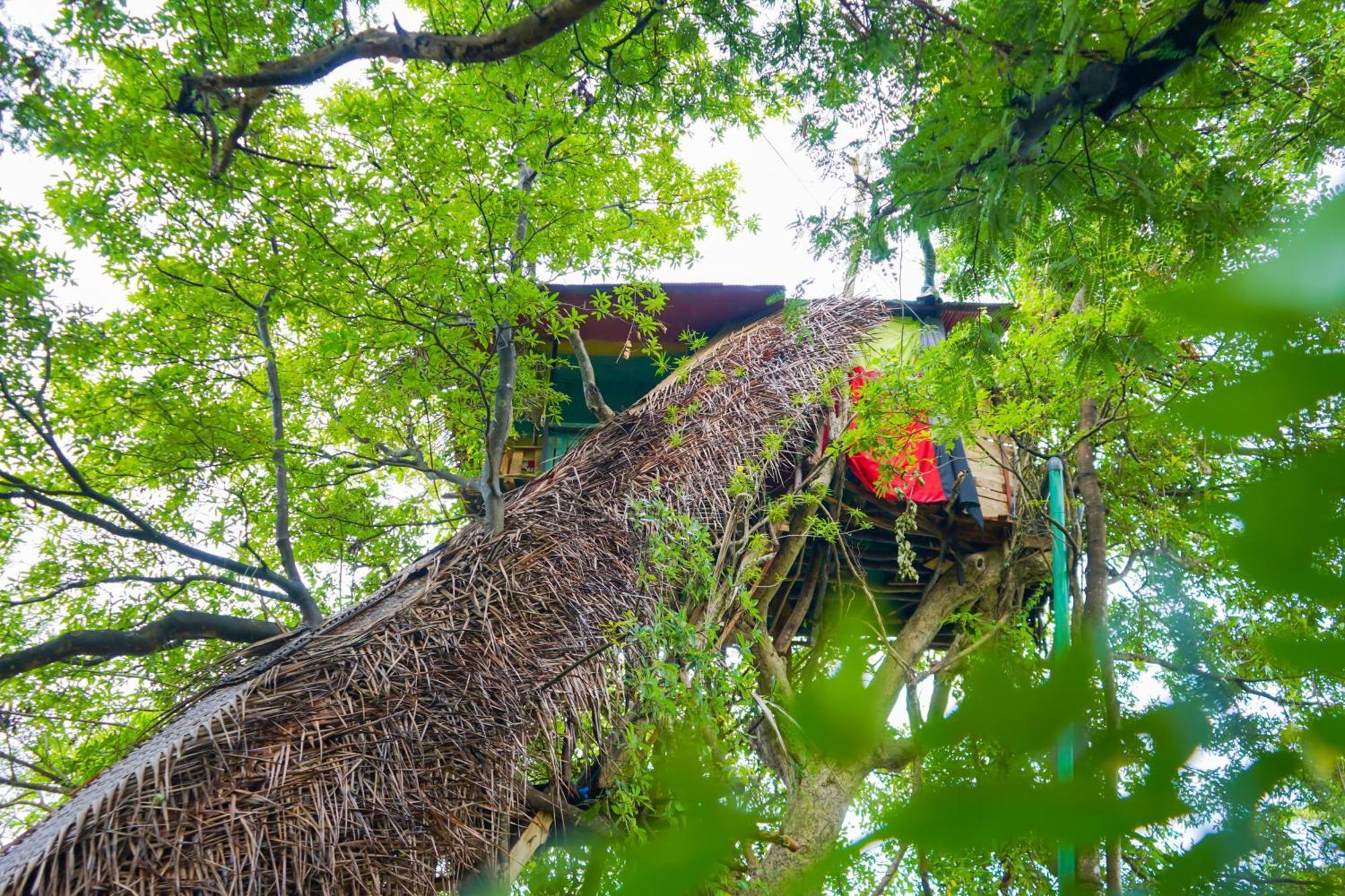 Elephant Villa, Yoga & Meditation Sanctuary Apartment