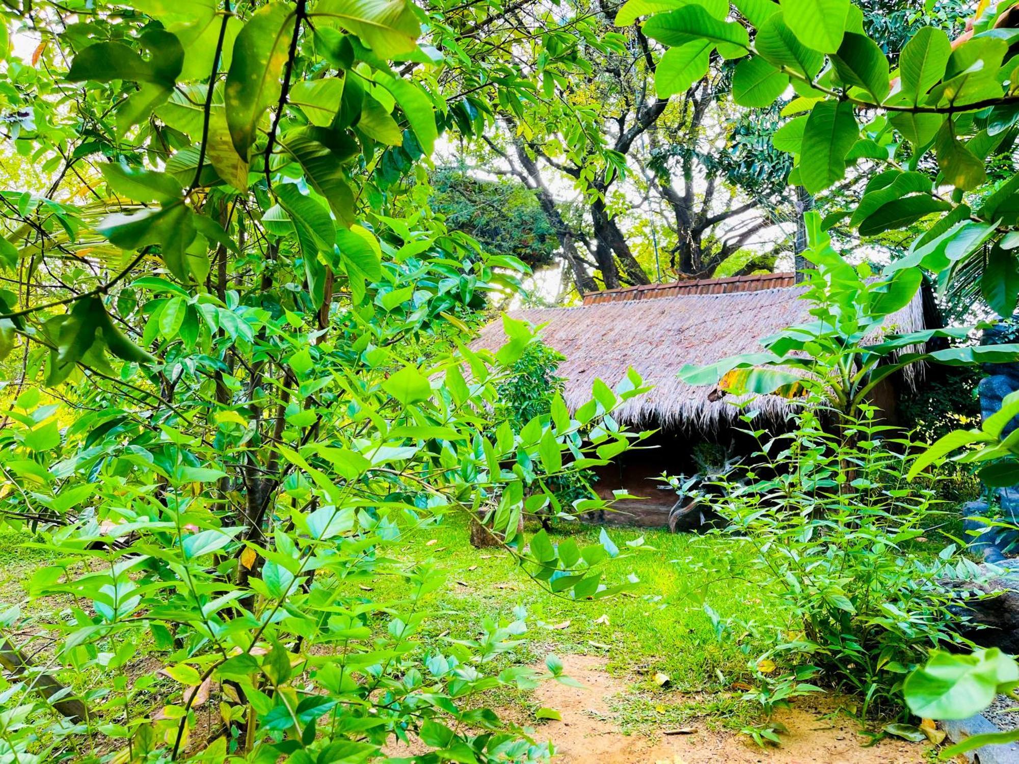 Apartment Elephant Villa, Yoga & Meditation Sanctuary
