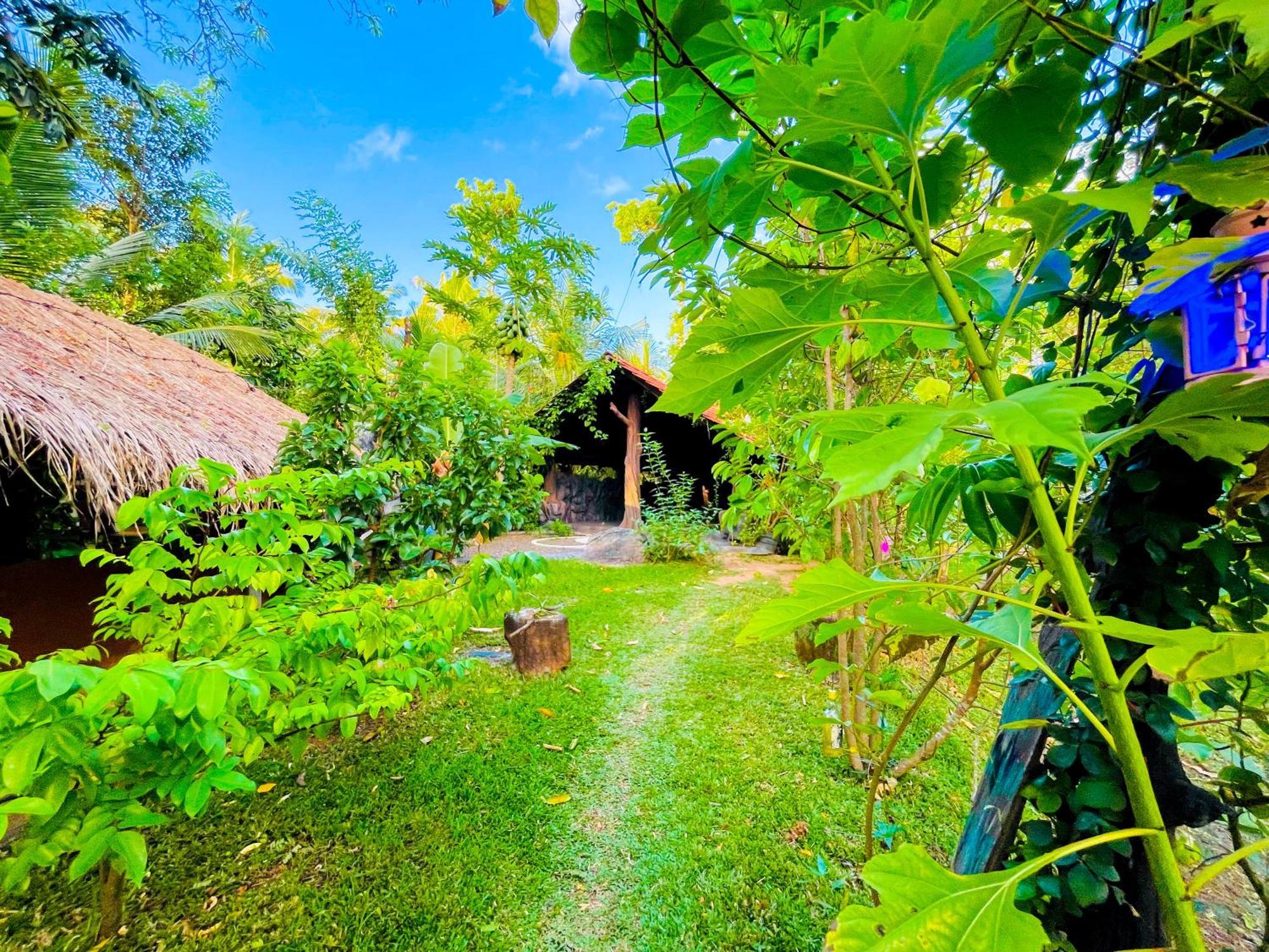 Elephant Villa, Yoga & Meditation Sanctuary * Sigiriya