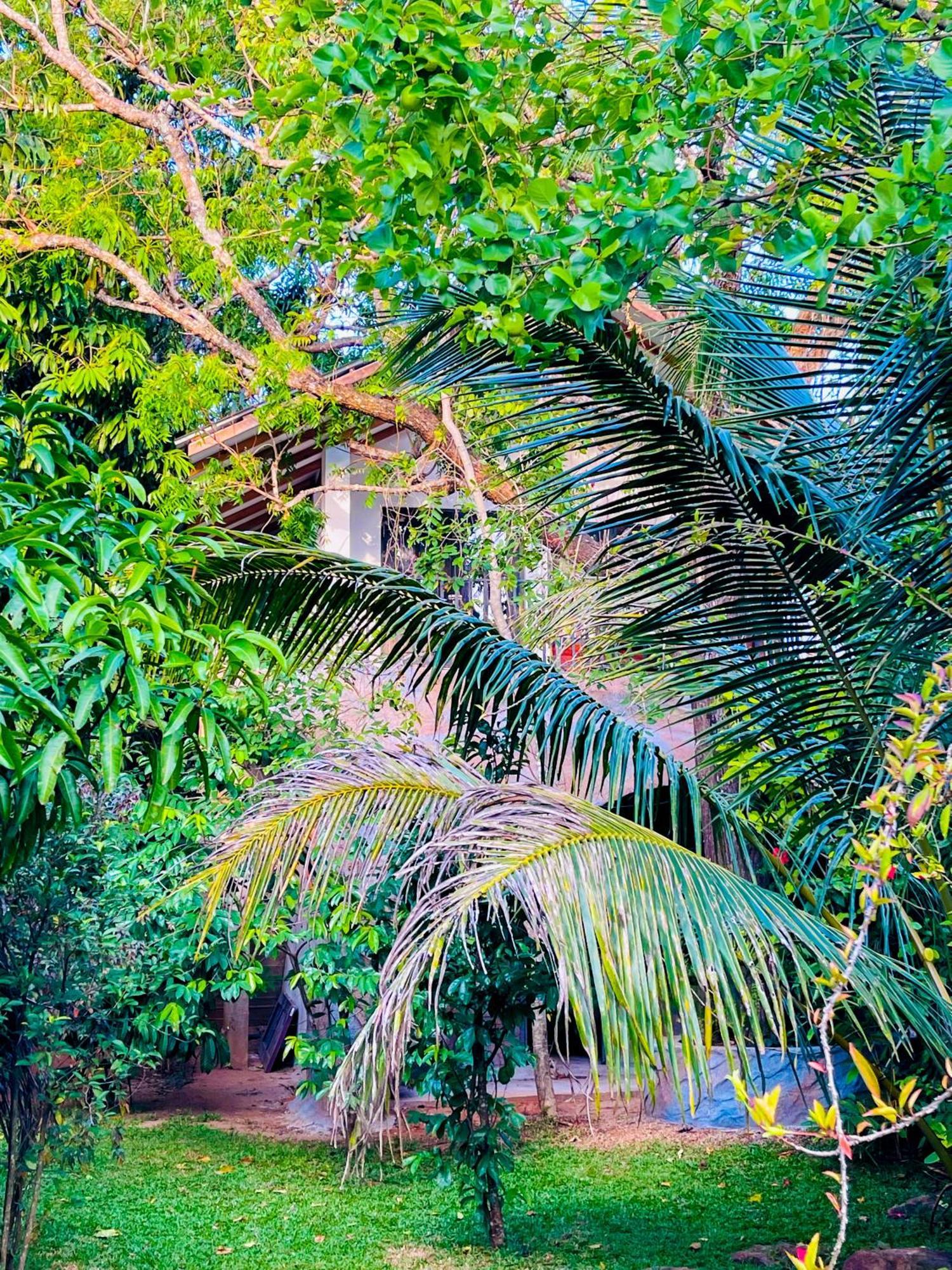 Elephant Villa, Yoga & Meditation Sanctuary Apartment