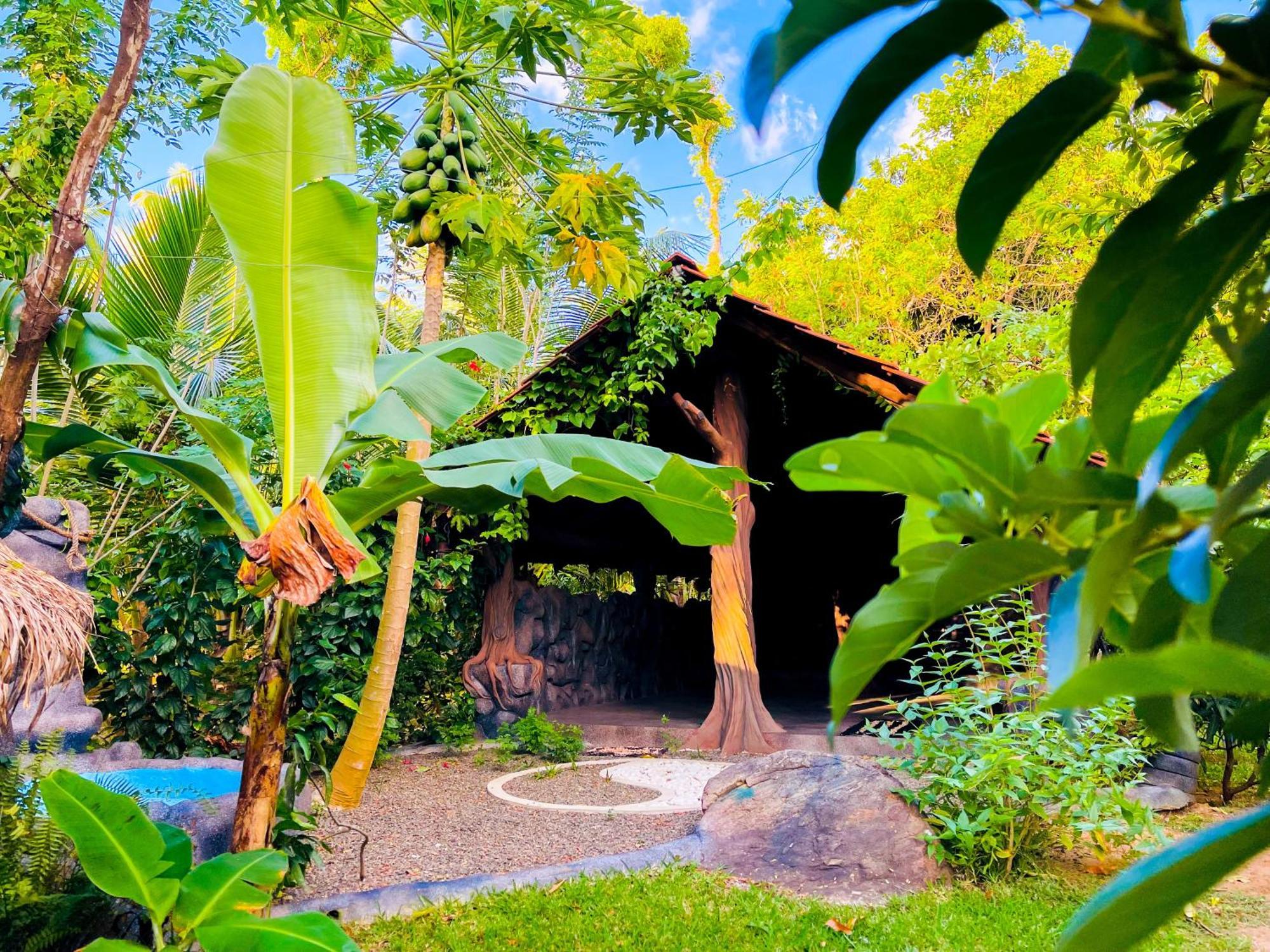 Elephant Villa, Yoga & Meditation Sanctuary Apartment Sigiriya